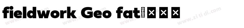 fieldwork Geo fat字体转换